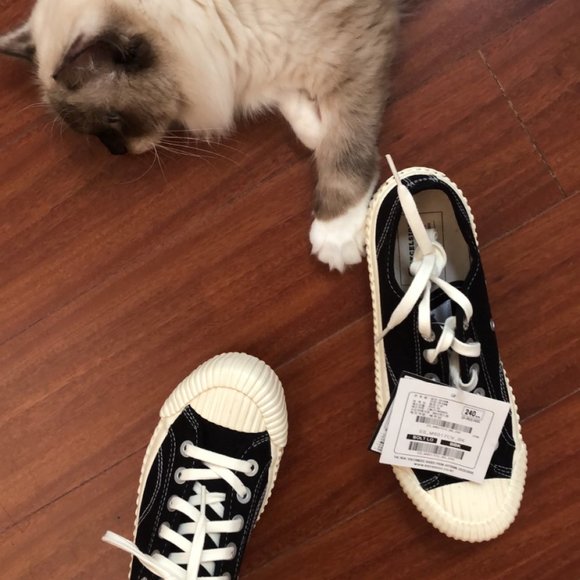 Excelsior black&white sneakers - Picture 2 of 3